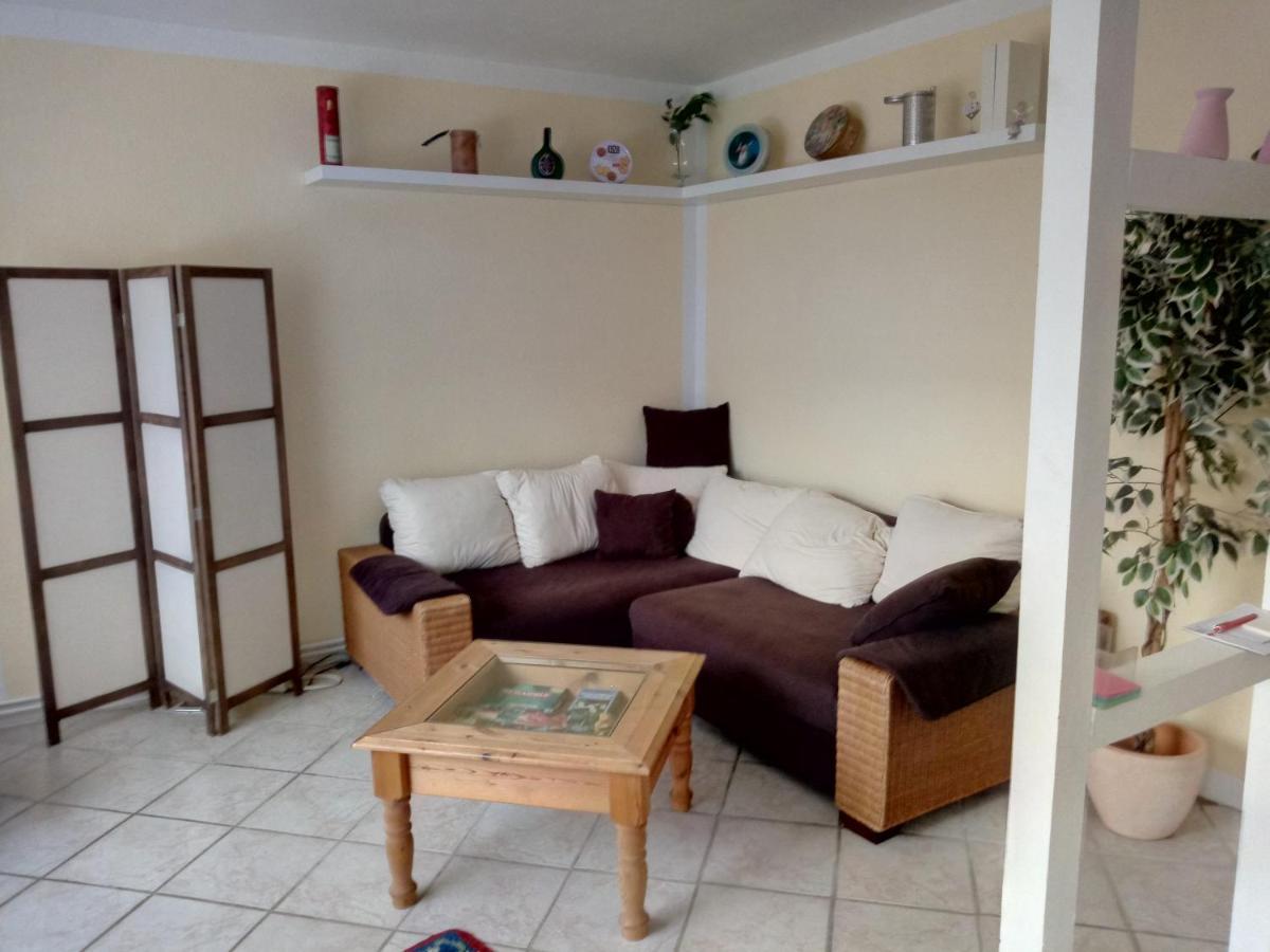 Apartament Steinatal Bad Sachsa Zewnętrze zdjęcie