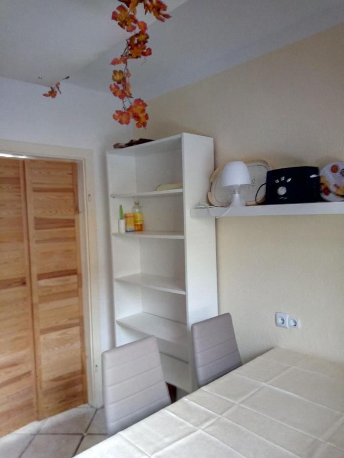 Apartament Steinatal Bad Sachsa Zewnętrze zdjęcie